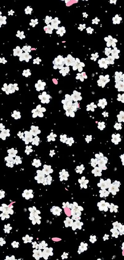 Black wallpaper with white flowers in a minimal floral design.