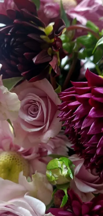 Close-up of pink and maroon flowers in bloom.