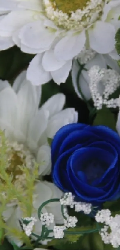 Elegant white and blue flowers arrangement wallpaper for mobile devices.