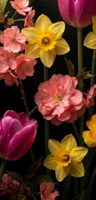 Vibrant tulips and daffodils on a dark background.