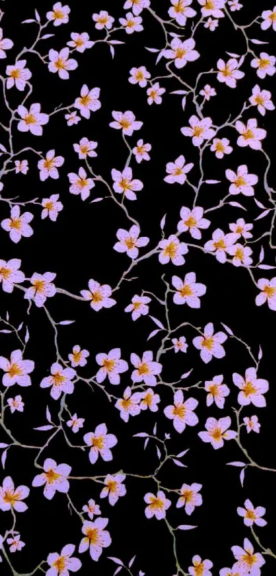 Mobile wallpaper with cherry blossoms on a black background.