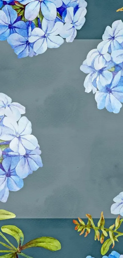 Elegant blue flower wallpaper with teal gray background.