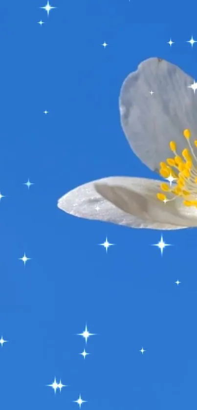 Elegant white flower on blue background with stars.