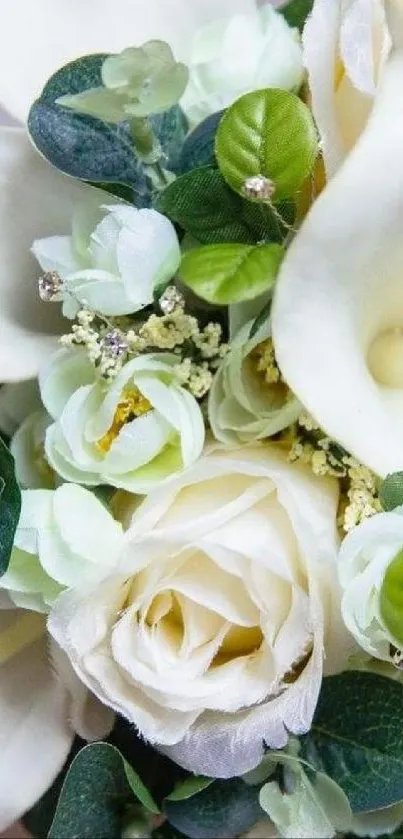 White roses and green leaves bouquet wallpaper.