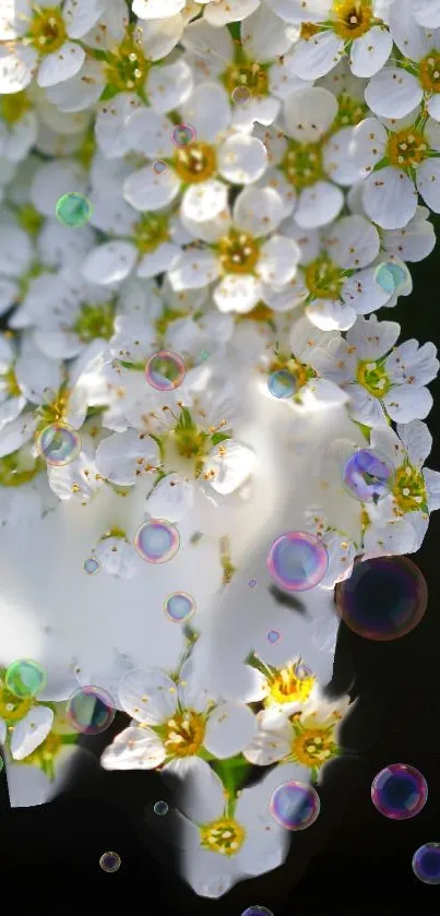 Elegant wallpaper with white flowers and colorful bubbles on a dark background.