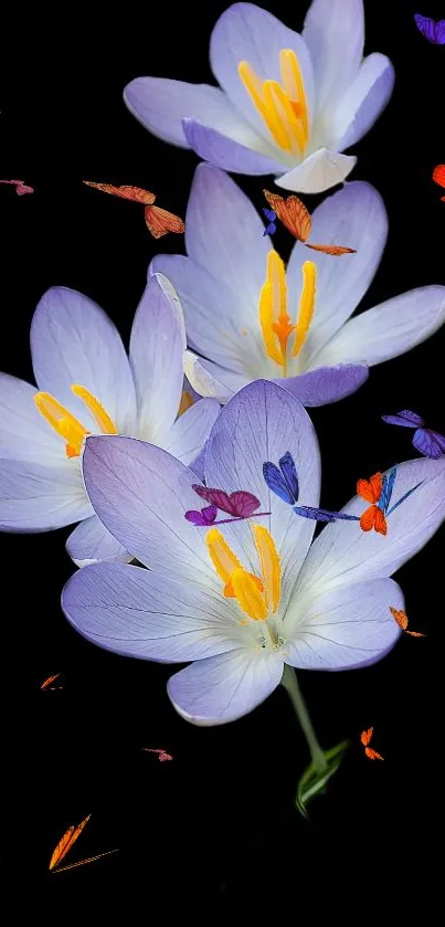 Purple flowers and butterflies on black background wallpaper.