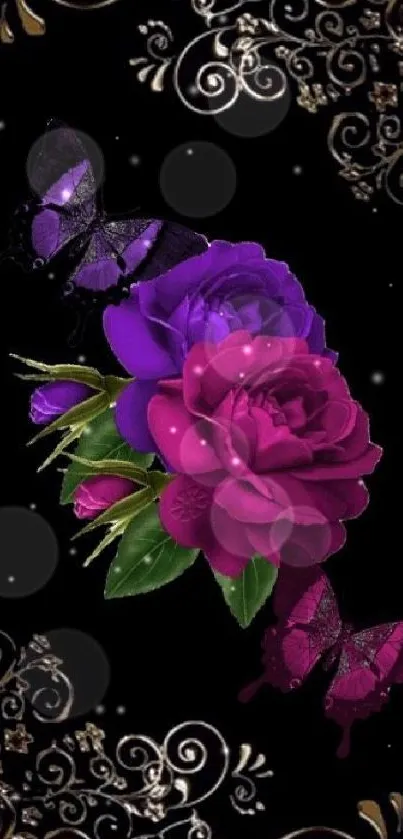 Purple and magenta roses with butterflies on black background.