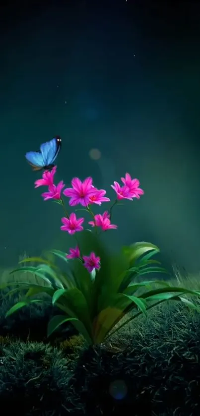 Blue butterfly on pink flowers with a dark green background.