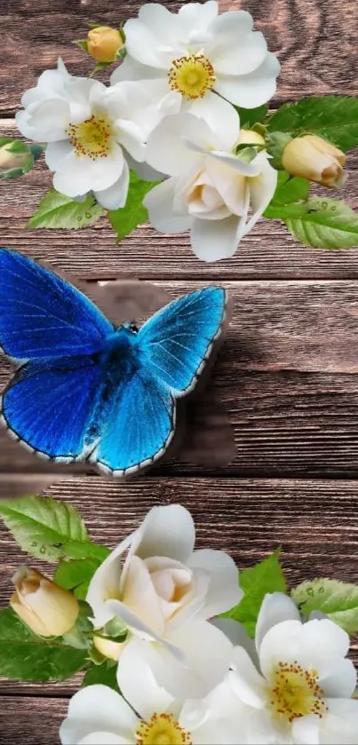 A blue butterfly on wood with white flowers.