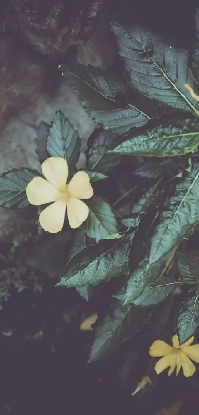 Dark green leafy background with yellow flowers in a serene nature setting.