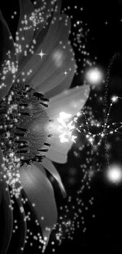 Monochrome flower with cosmic sparkles on a black background wallpaper.