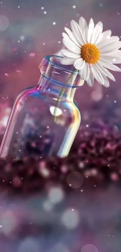 Daisy flower in a glass jar on a dreamy purple background.