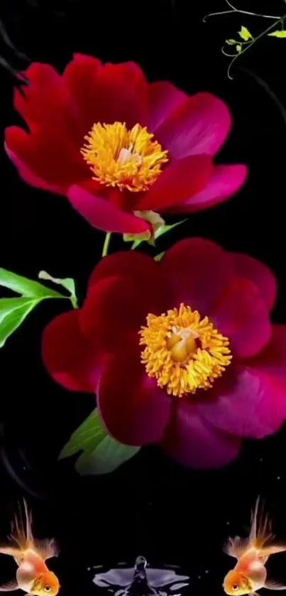 Elegant mobile wallpaper with red flowers and goldfish on a black background.