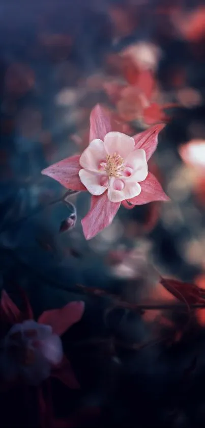 Elegant pink and white flower in dreamy twilight setting mobile wallpaper.