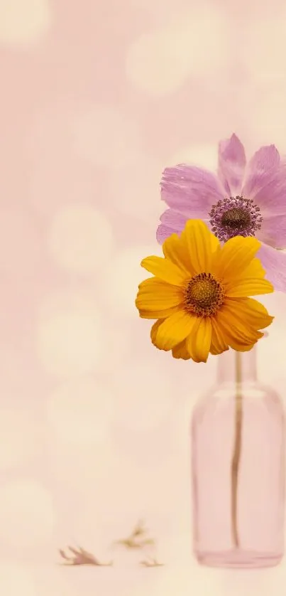 Pink bokeh background with yellow and purple flowers in a vase.