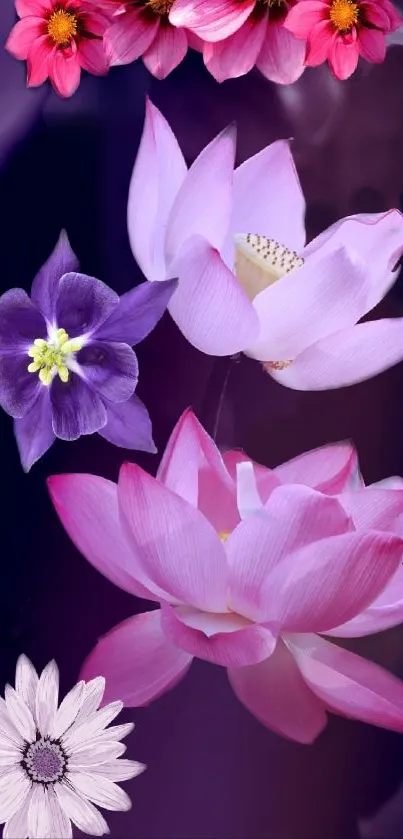 Vibrant floral wallpaper with lotus and daisy on purple background.