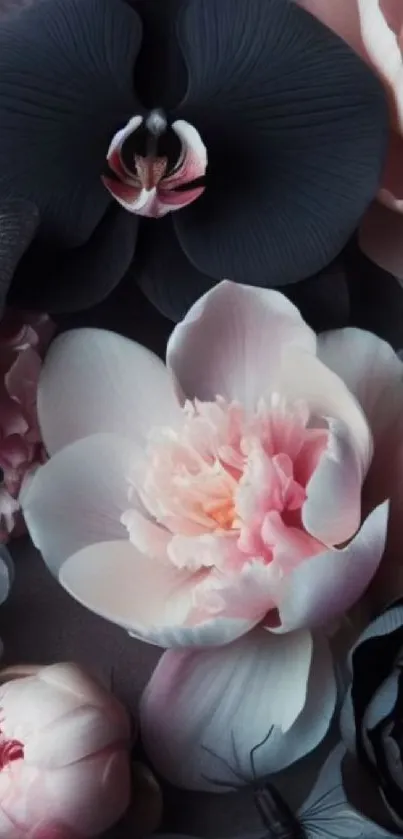 Mobile wallpaper with elegant orchids and peonies in black and soft pink hues.