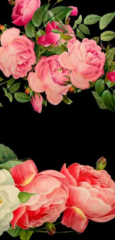 Vibrant pink peonies mobile wallpaper with lush green leaves.