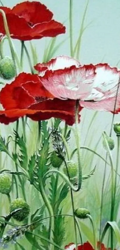 Wallpaper with red poppies and green leaves.