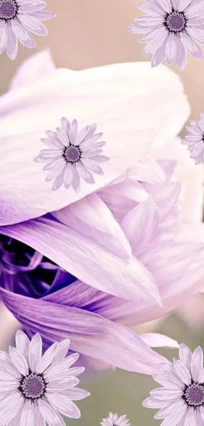 Elegant wallpaper with purple flowers and daisy motifs.