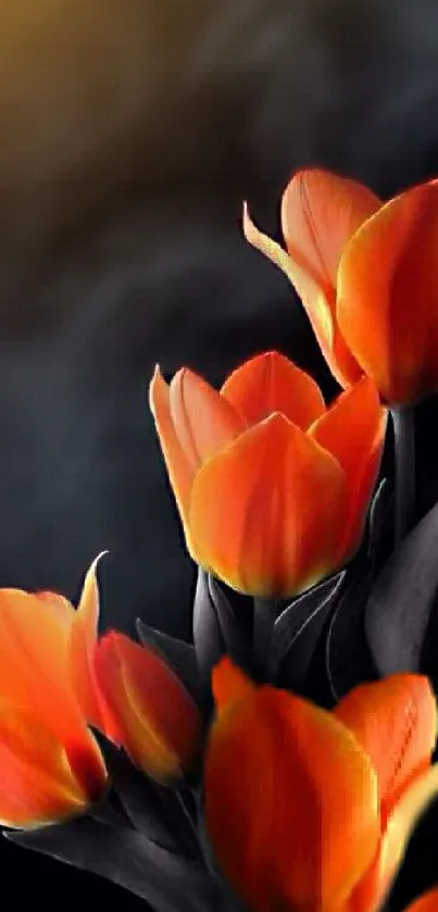 Elegant orange tulips on a dark mobile wallpaper.