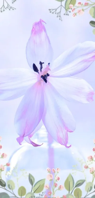 Pink lily with delicate floral border on mobile wallpaper.