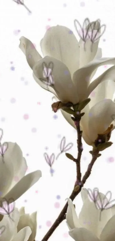 Delicate white magnolia flowers with a subtle patterned background.