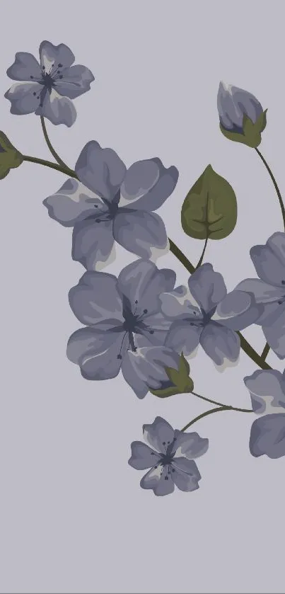 Elegant floral wallpaper with purple blossoms on a lavender background.