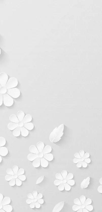 Minimalistic white floral wallpaper for phones.