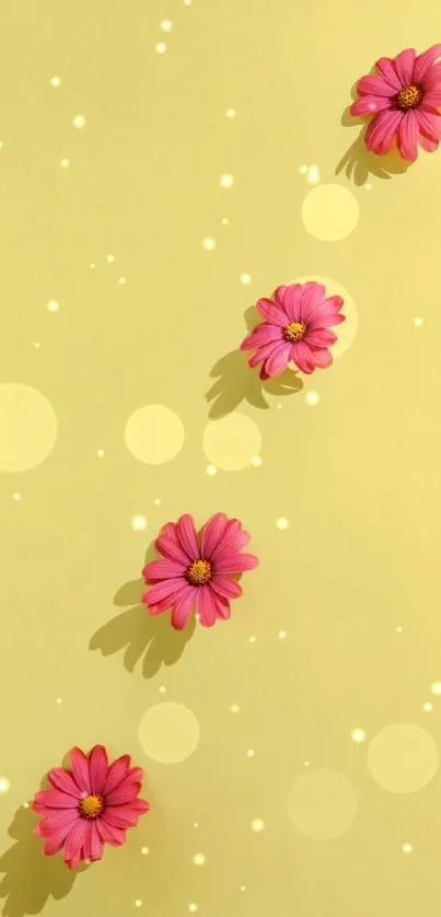 Four pink daisies on a light yellow background wallpaper.