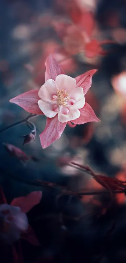 Delicate pink flower with bokeh background on mobile wallpaper.