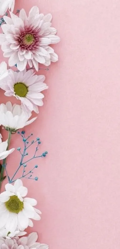 Elegant pink wallpaper with white daisies and soft floral design.