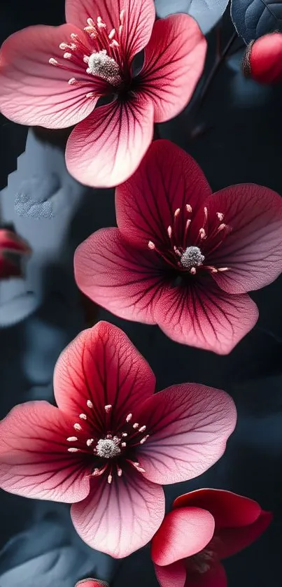 Vibrant pink flowers on dark background mobile wallpaper.