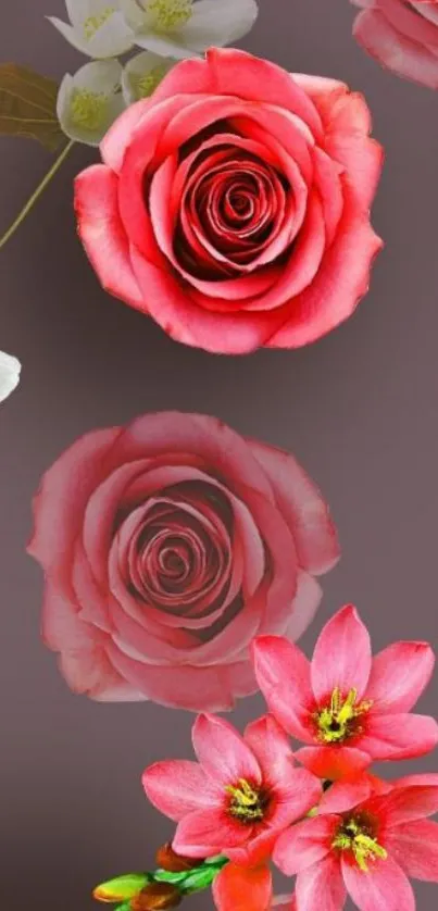 Elegant mobile wallpaper featuring vibrant roses.