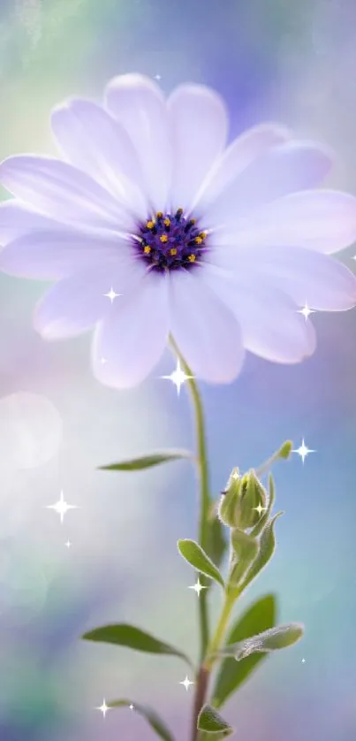 Elegant mobile wallpaper featuring a white flower with a purple bokeh background.