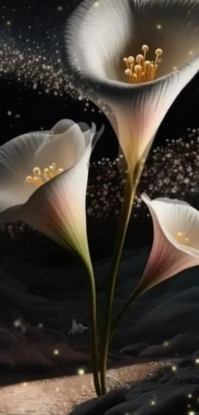 Elegant flowers glow against a starlit night background.