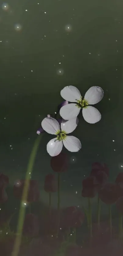 Delicate white flowers against a dark, starry sky.