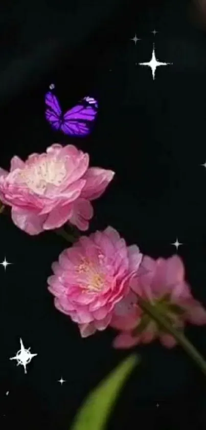 Pink flowers and purple butterfly on a dark background.