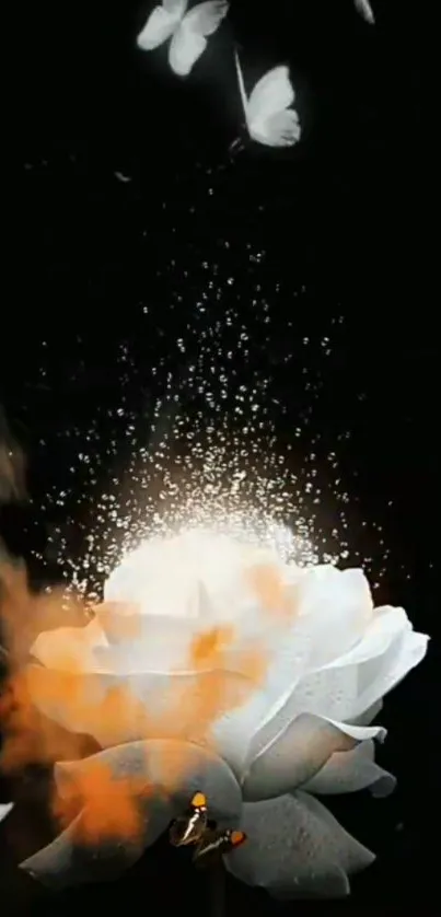 Luminous white rose with butterflies on a dark background.