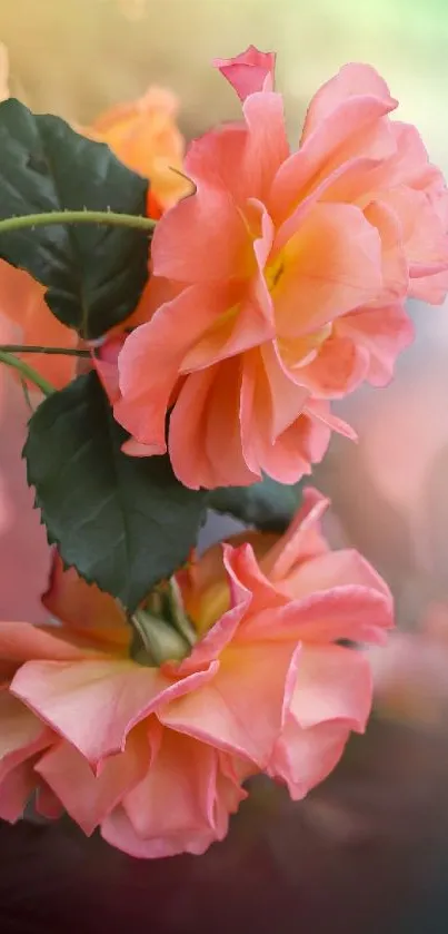 Delicate pink roses with green leaves on a vibrant background.