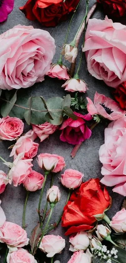 Pink and red roses on a gray background.