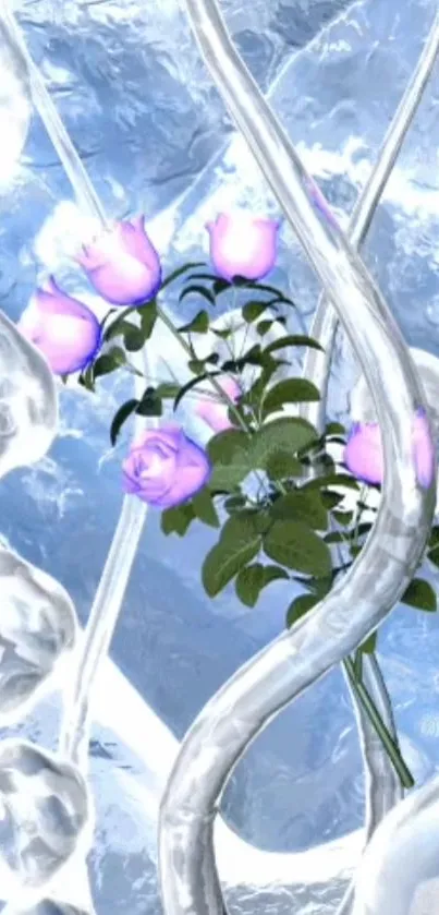 Delicate pink roses with shimmering silvery background.