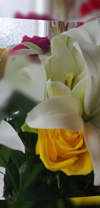 Beautiful white and yellow flower close-up on wallpaper.