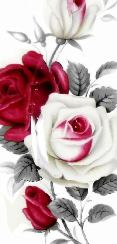 Elegant phone wallpaper with red and white roses set against grey leaves.