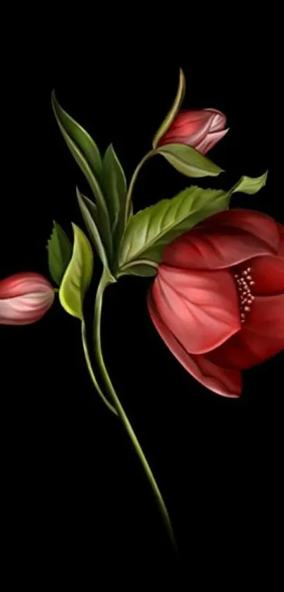 Elegant red flowers on a black wallpaper background.