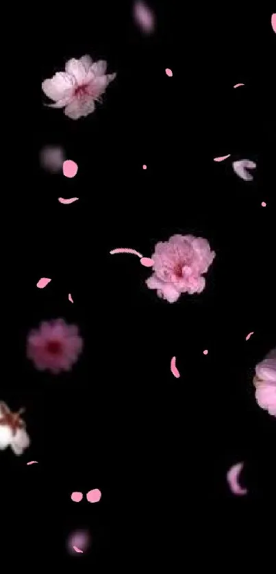 Delicate pink flowers on a black background create an elegant mobile wallpaper.