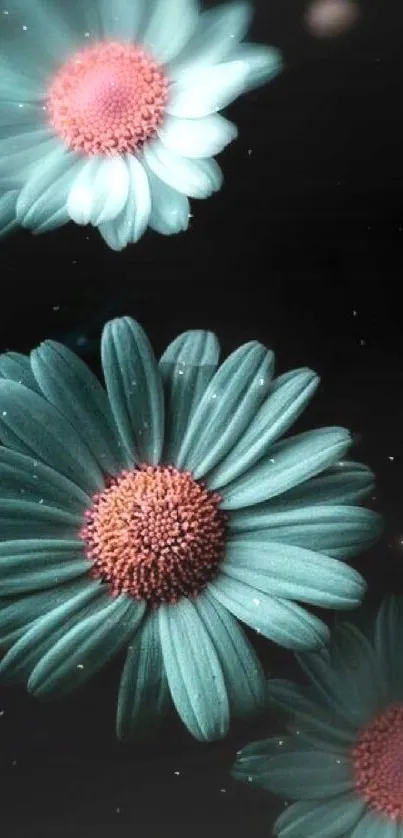 Teal flowers on dark background wallpaper.