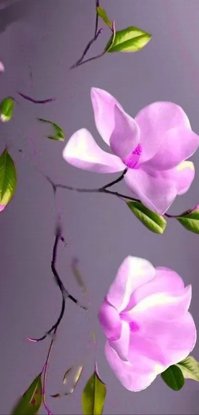 Purple and pink floral phone wallpaper with green leaves.