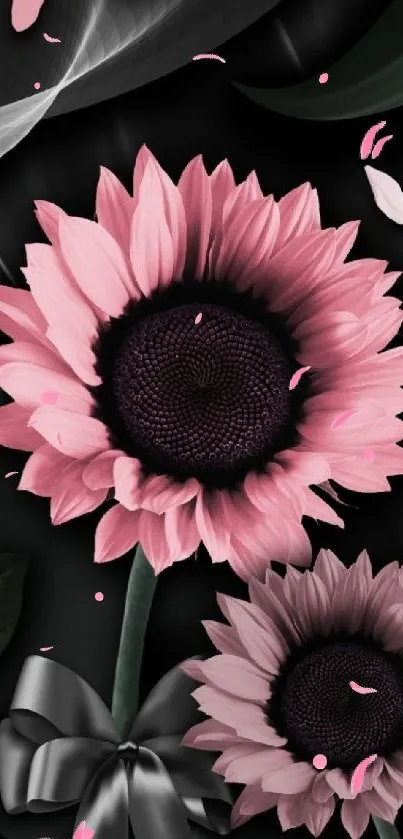 Stylish pink sunflowers on a dark background with a sleek ribbon accent.