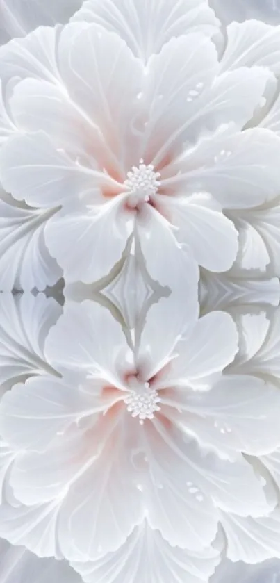 Elegant white floral wallpaper with intricate petal design.